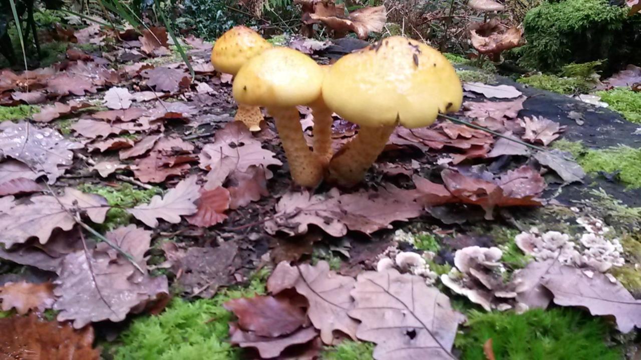 La Berceenne Jupilles Buitenkant foto
